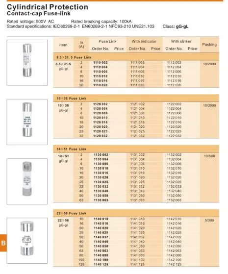 House Service Fuse Cut out Protection